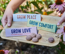 Load image into Gallery viewer, Bright Side Seed Ball Kits - 3 Types