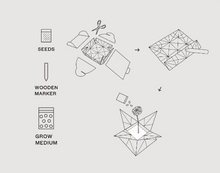 Load image into Gallery viewer, Cosmic Seed Kit - Air