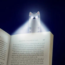 Load image into Gallery viewer, Cat Book Light