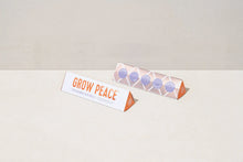 Load image into Gallery viewer, Bright Side Seed Ball Kits - 3 Types