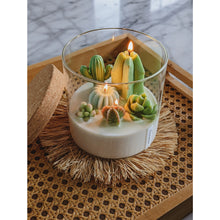 Load image into Gallery viewer, Large Terrarium Candle - 3 Wick - Assorted Scents