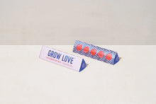 Load image into Gallery viewer, Bright Side Seed Ball Kits - 3 Types