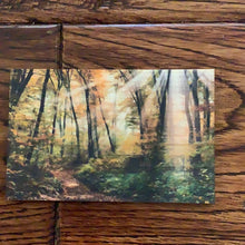 Load image into Gallery viewer, Assorted Woodly Magnets
