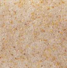 Load image into Gallery viewer, Bathorium Konjac Walnut Shell Exfoliating Body Sponge