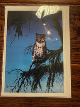 Load image into Gallery viewer, Assorted Art Cards - Alexandre DuParis Art