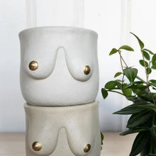 Load image into Gallery viewer, Golden Boob Concrete Indoor Plant Pot - White