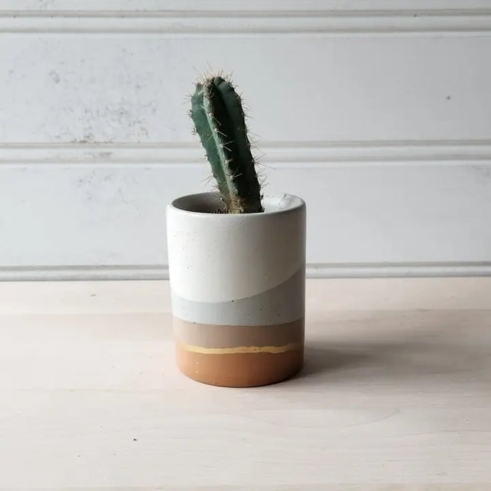 Sand to Sky Concrete Indoor Plant Pot