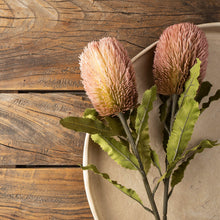 Load image into Gallery viewer, Banksia Floral Stem - Flowers