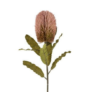Banksia Floral Stem - Flowers