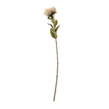 Load image into Gallery viewer, Pin Cushion Floral Stem - Flowers