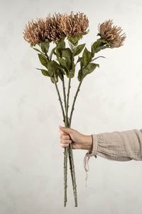 Pin Cushion Floral Stem - Flowers