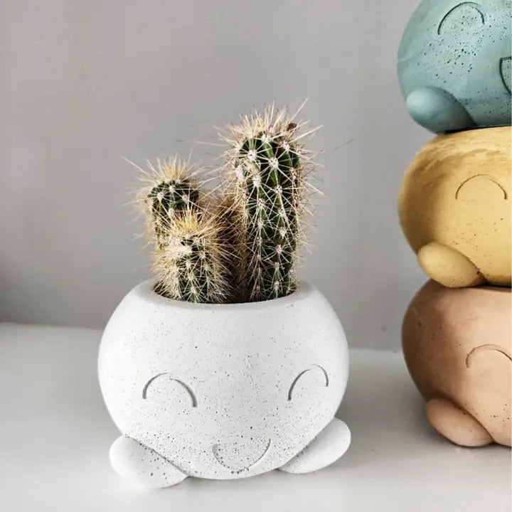 Walter Smiles Concrete Indoor Plant Pot