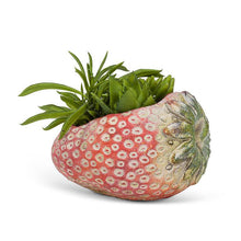 Load image into Gallery viewer, Laying Strawberry Planter