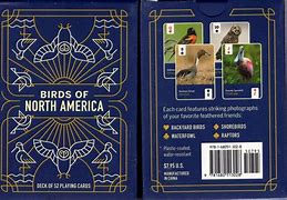 Birds of North America Card Deck