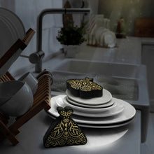 Load image into Gallery viewer, Sponges - Night Scrub