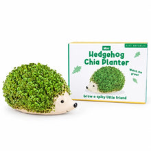 Load image into Gallery viewer, Assorted Mini Chia Planter