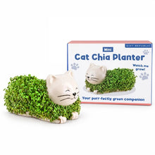 Load image into Gallery viewer, Assorted Mini Chia Planter