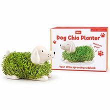 Load image into Gallery viewer, Assorted Mini Chia Planter