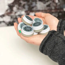 Load image into Gallery viewer, Mint Lip Balm