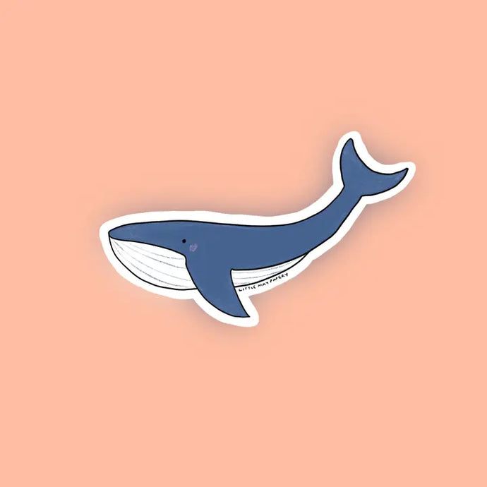Humpback Whale Vinyl Sticker - Little May Papery