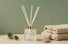 Load image into Gallery viewer, Isle Rose Assorted Diffusers