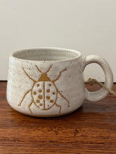 Load image into Gallery viewer, Medium lady Bug Mug - Hands On Clay