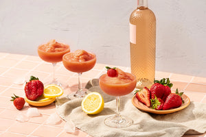 Fuse and Sip Blended Drink Kit -  Frose All Day