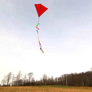 Huckleberry Childrens Red Kite