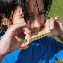 Load image into Gallery viewer, Grass Whistle - Huckleberry