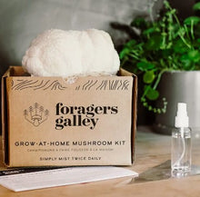 Load image into Gallery viewer, Foragers Galley Grow-At-Home Kit - Lion&#39;s Mane Mushroom
