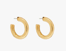 Load image into Gallery viewer, Grand Hoop Earrings in Gold - Foxy Originals