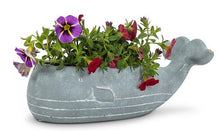 Load image into Gallery viewer, Small Whale Low Planter - Abbott