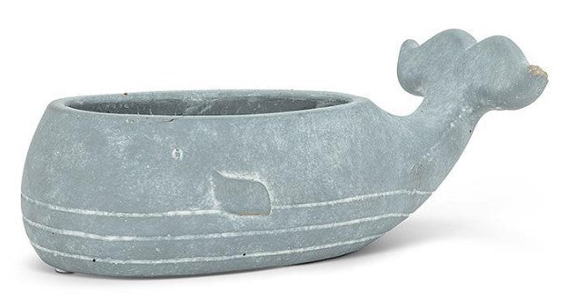 Small Whale Low Planter - Abbott