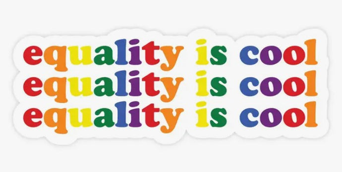 Equality Is Cool - Magnet