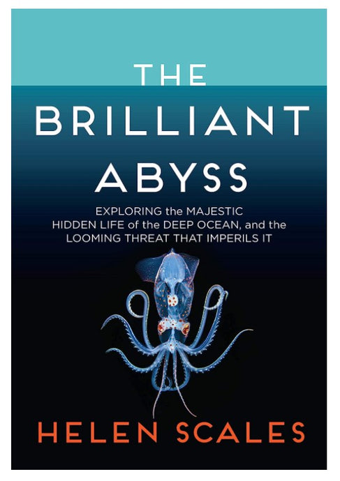 The Brilliant Abyss