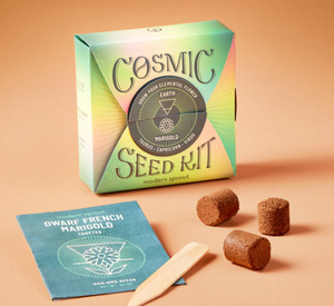Cosmic Seed Kit - Earth