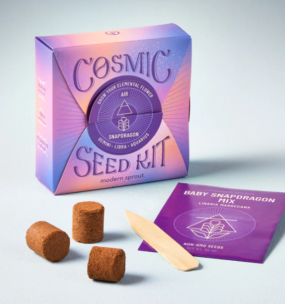 Cosmic Seed Kit - Air