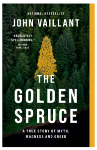 Golden Spruce