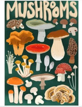 Load image into Gallery viewer, Villager Puzzles 1000 Pieces - Mushroom Forager