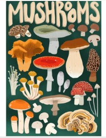 Villager Puzzles 1000 Pieces - Mushroom Forager