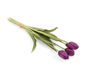 Tulip Bundles - 3 Colours