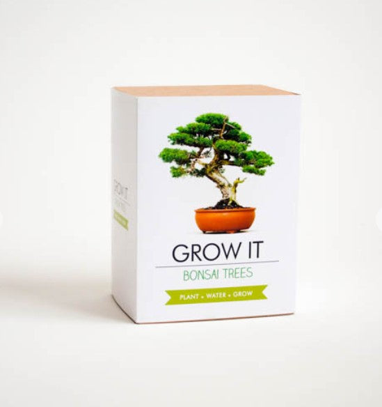 DIY Bonsai Growing Kit