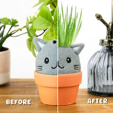 Load image into Gallery viewer, Grow Pals - Cat Grow Kit