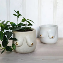 Load image into Gallery viewer, Golden Boob Concrete Indoor Plant Pot - White