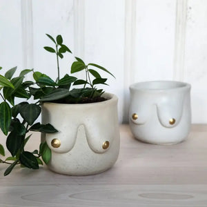 Golden Boob Concrete Indoor Plant Pot - White