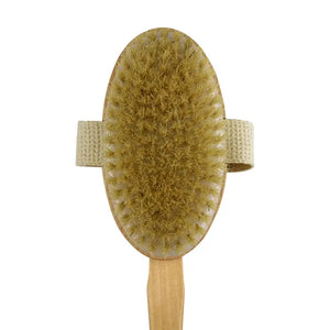 Natural Boar Bristle Back Brush