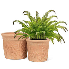 Load image into Gallery viewer, Fern Roll Rim Planter