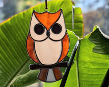 Load image into Gallery viewer, Owl Suncatcher - Glimpse Glass