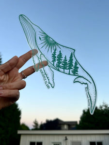 Teal Humpback Vancouver Island Car Decal