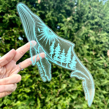 Load image into Gallery viewer, Teal Humpback Vancouver Island Car Decal